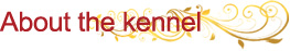 About the kennel