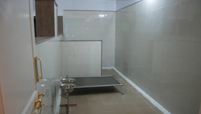 Image Caption