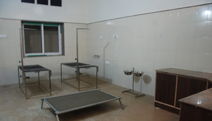 Image Caption