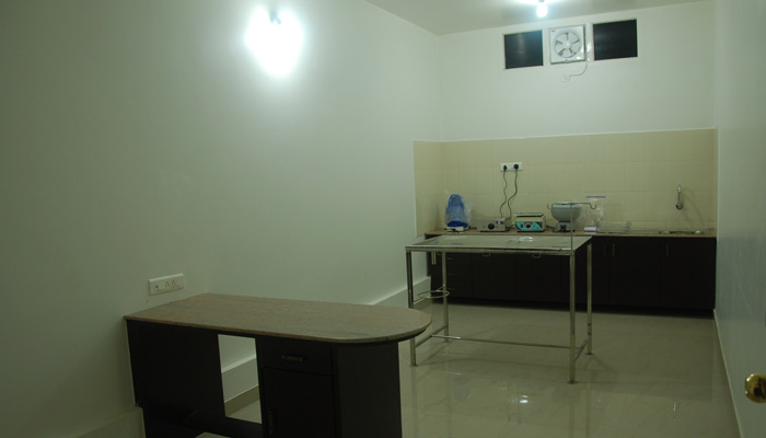 Image Caption