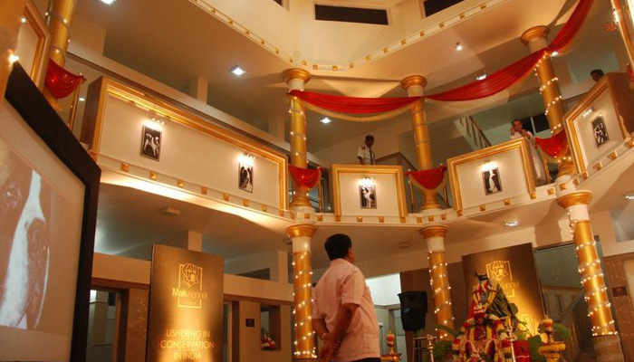 Image Caption